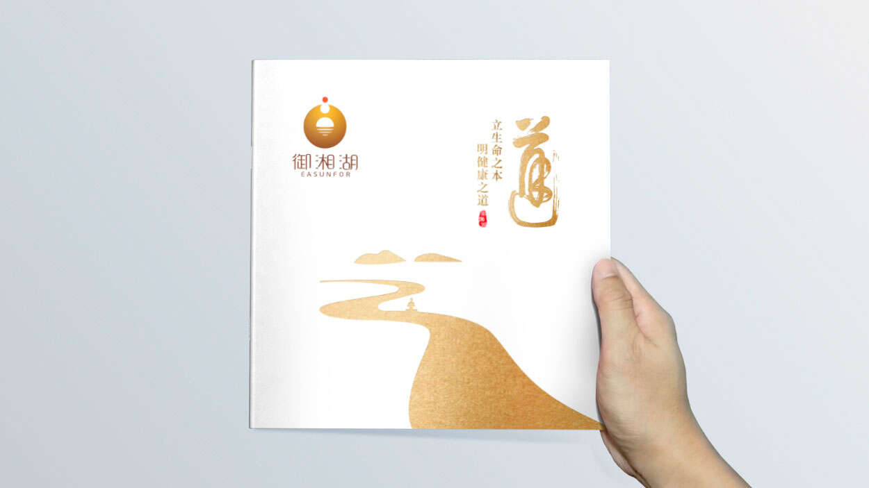 產(chǎn)業(yè)園宣傳冊(cè)設(shè)計(jì)|招商畫(huà)冊(cè)設(shè)計(jì)-湘湖健康產(chǎn)業(yè)園樣本冊(cè)設(shè)計(jì)